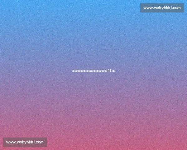 哈斯富士测试迎历史性时刻 日本双冠王坪井翔开启 F1 首秀