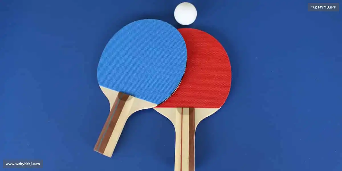 行业领先的理由